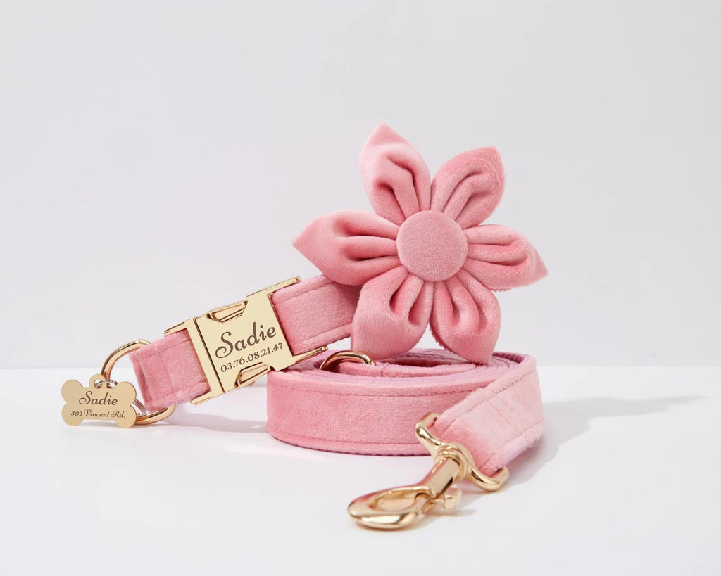 Pink flower-shaped dog collar and leash set with a gold tag on a light gray background