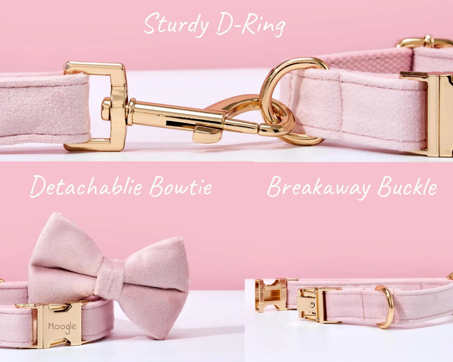 Pink dog collar with gold hardware on a pink background