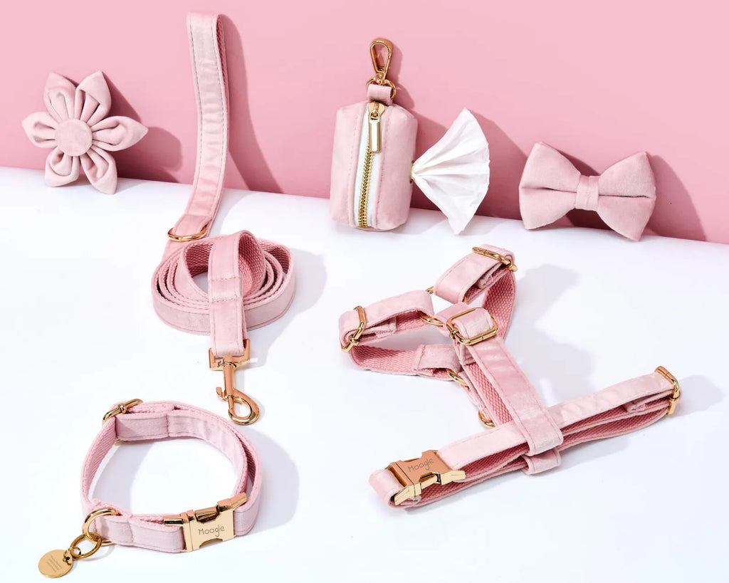 Pink pet accessories including a leash, collar, and harness on a white background with pink flowers.