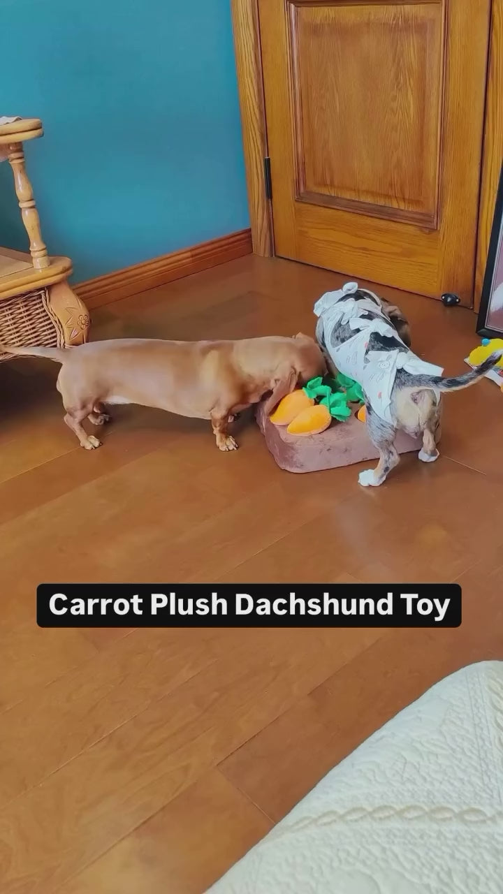 Carrot Snuffle Mat (Squeaky Puzzle Toy)