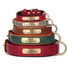 Personalized Premium Leather Collar