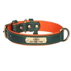 Personalized Premium Leather Collar