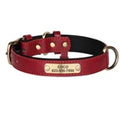 Personalized Premium Leather Collar