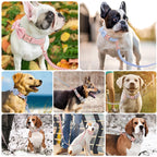 Personalized Dog Collar with Bow Tie