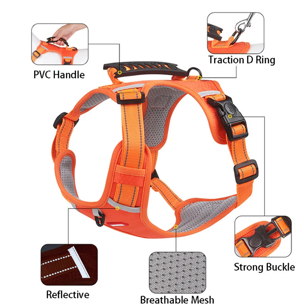 Orange dog harness with features highlighted on a white background