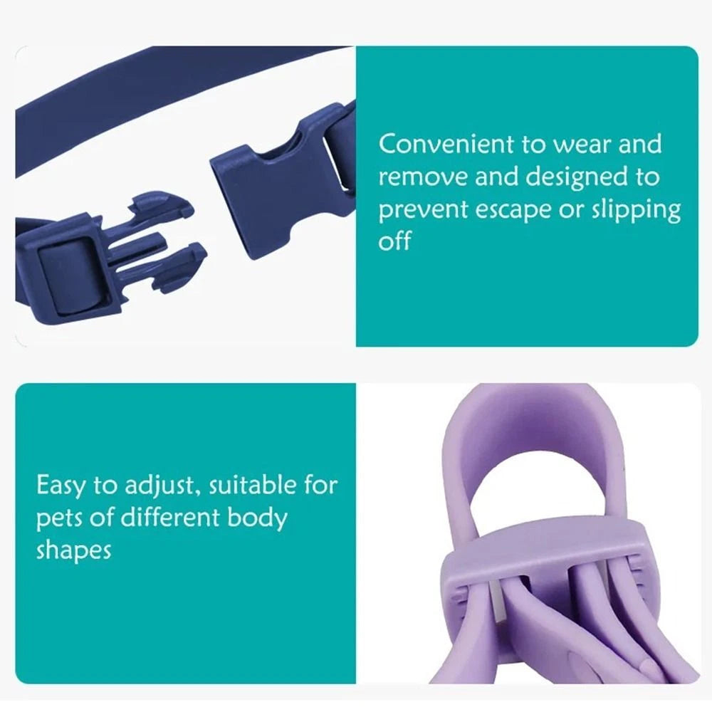 Waterproof PVC Dog Collar with Quick-Release Buckle