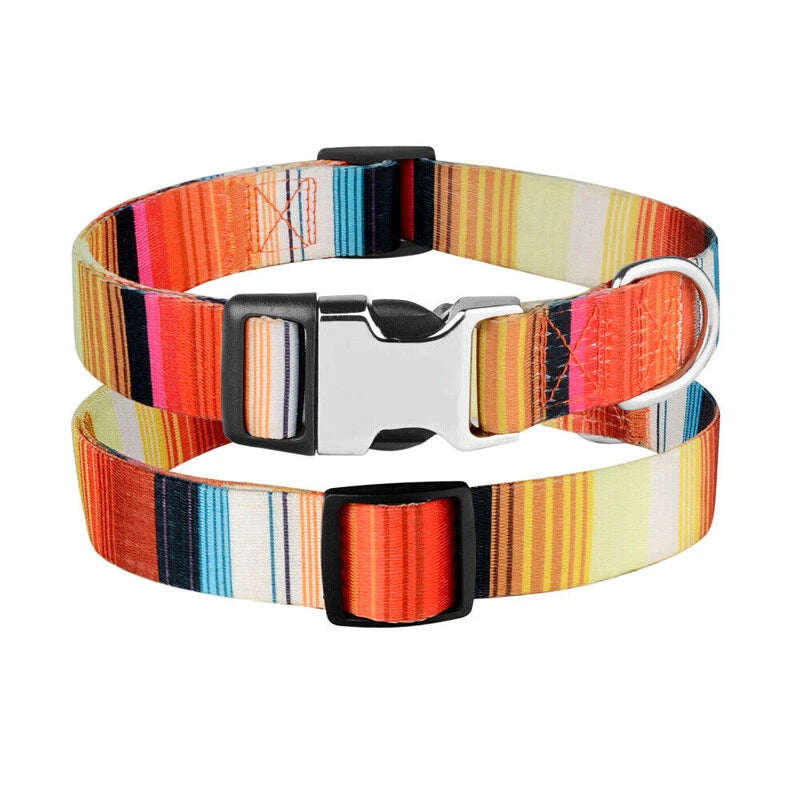 Forrest Adventures Custom Name Dog Collar