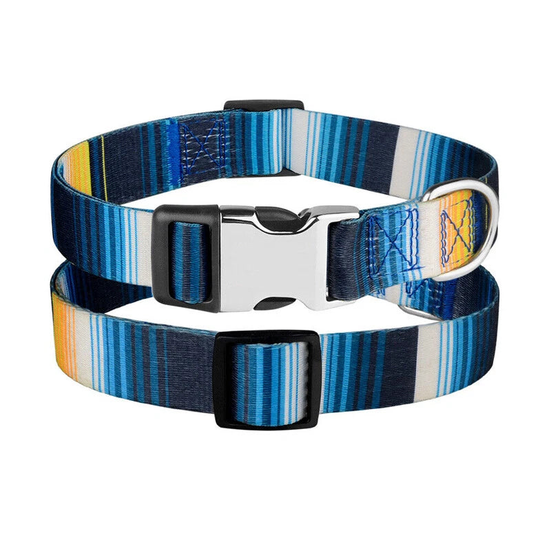 Forrest Adventures Custom Name Dog Collar