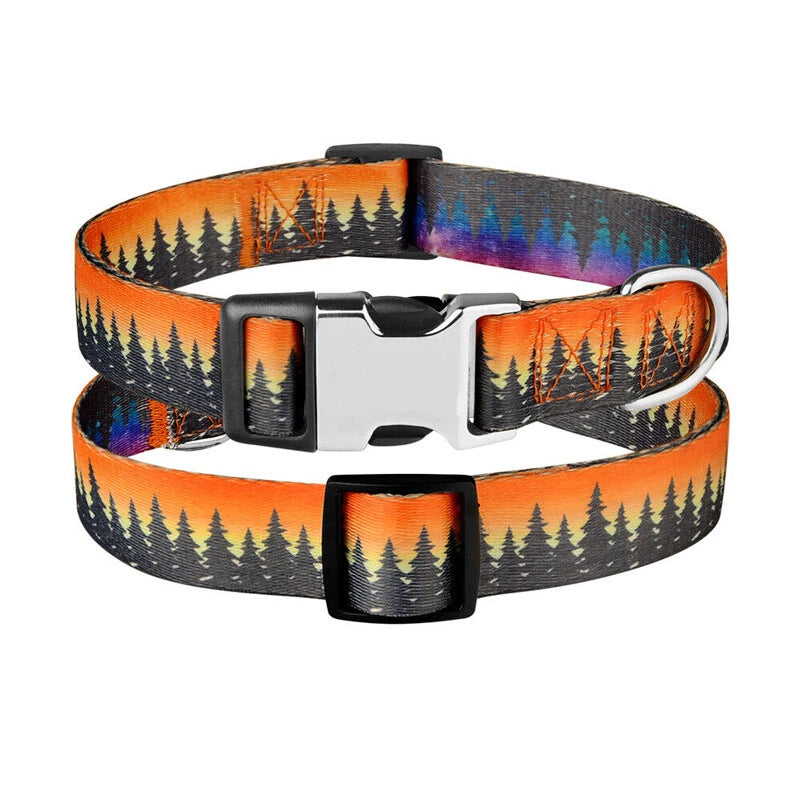 Forrest Adventures Custom Name Dog Collar