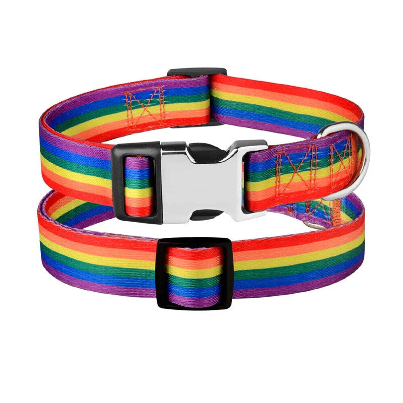 Forrest Adventures Custom Name Dog Collar