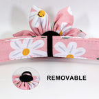 Pink floral dog collar with a detachable buckle on a white background