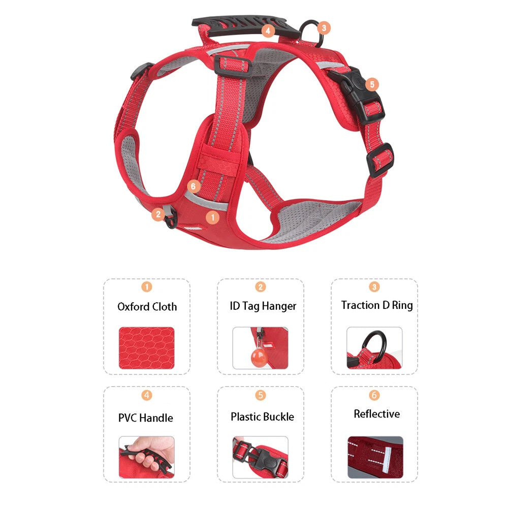 Red dog harness with features highlighted on a white background